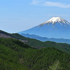 小金沢山からの富士山