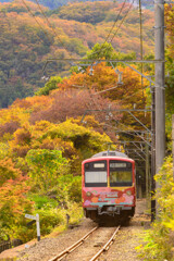 彩、上州路