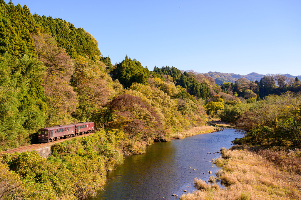 晩秋の渡良瀬川