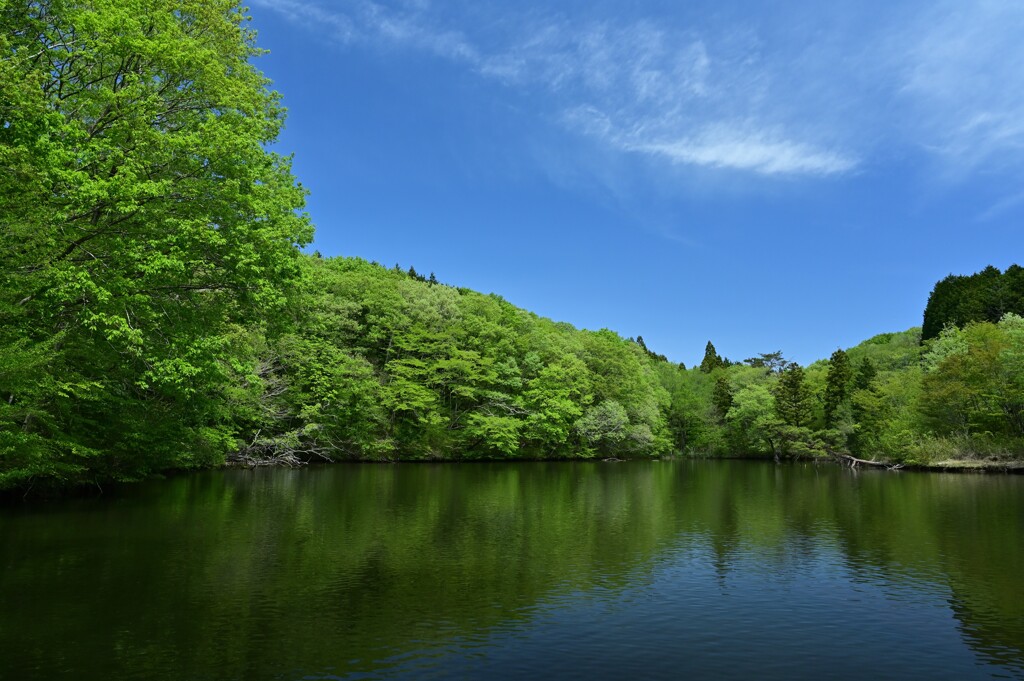 里山にある池