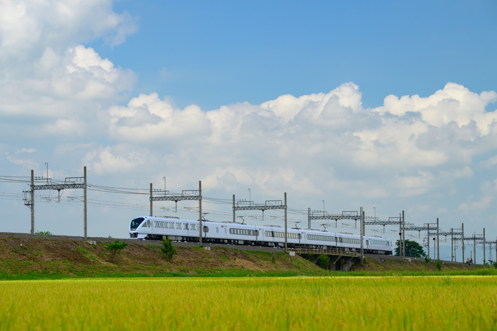 田園とスペーシアX