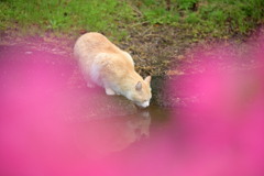 水分補給を忘れずに