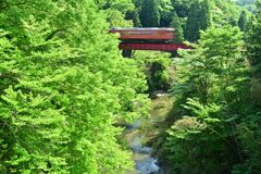 養老渓谷の初夏