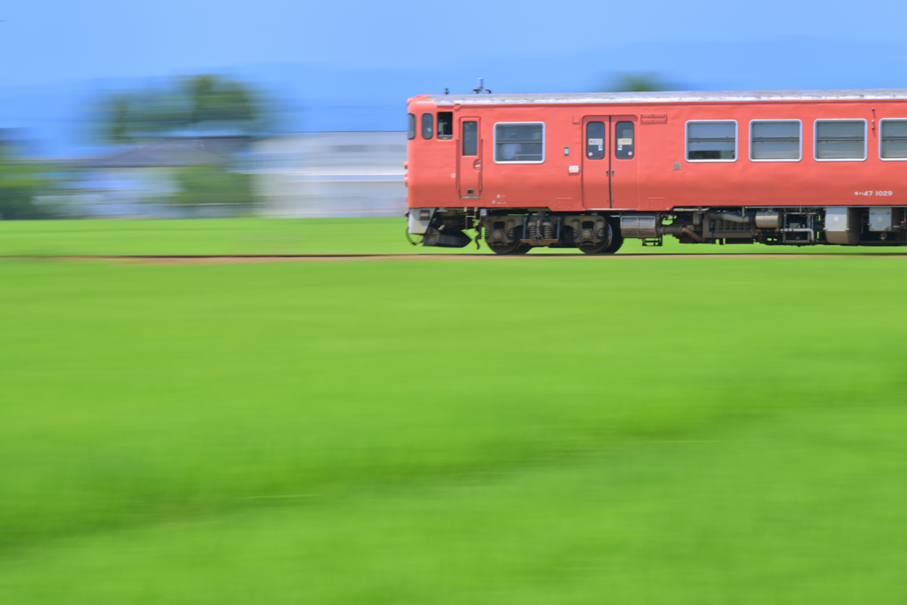 田園を駆ける