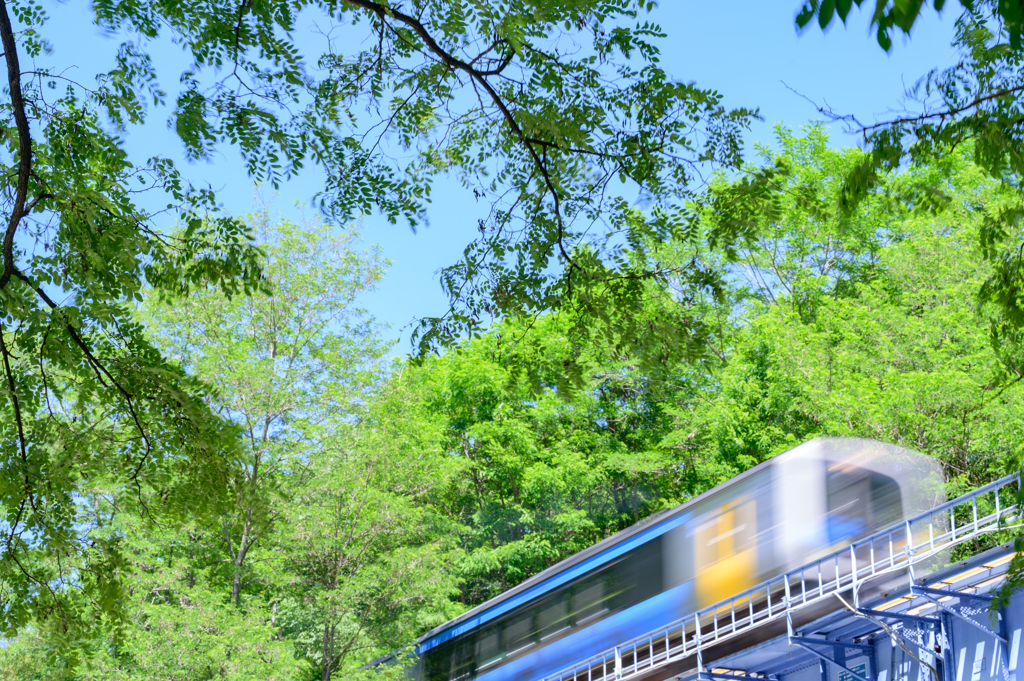 夏を運ぶ列車