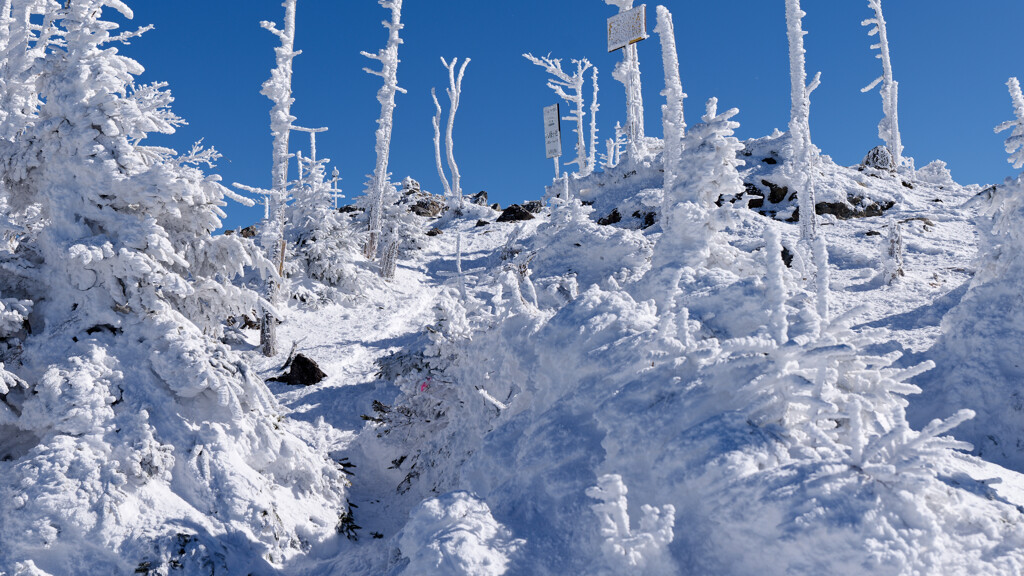 八経ヶ岳山頂が見えた