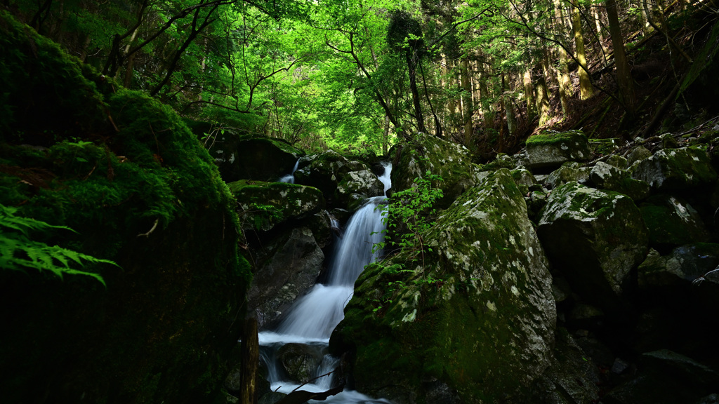 渡渉の多い登山道