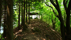 烏岳南峰