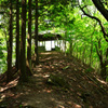 烏岳南峰