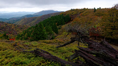 木梶山に向かう道は曇ってもきれいだった
