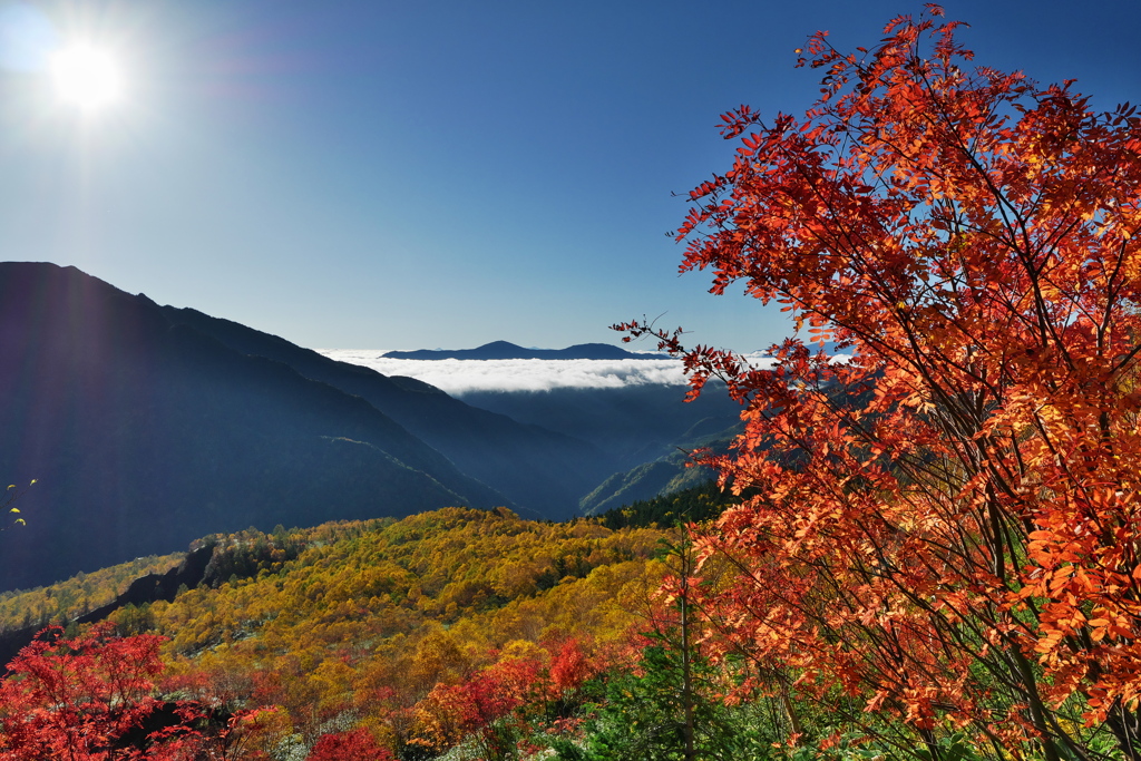 焼岳の紅葉