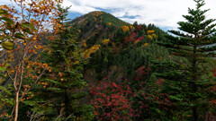 本谷山
