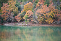 沢池に映る紅葉