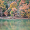 沢池に映る紅葉