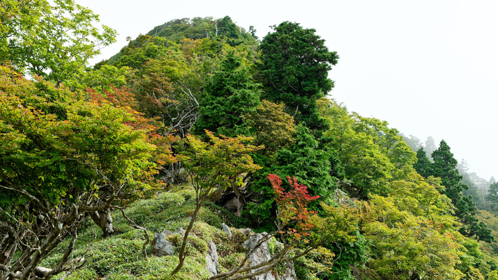 大普賢岳を振り返る
