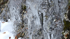岩壁の氷中を水が流れている