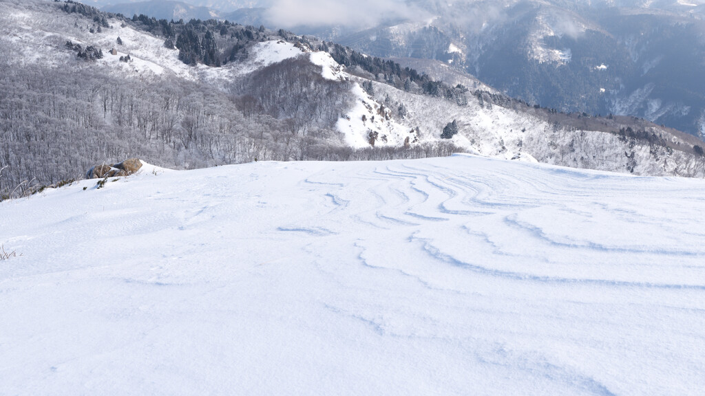 赤坂山から明王の禿へは誰も向かっていないようだった