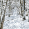 明神岳 積雪期の道