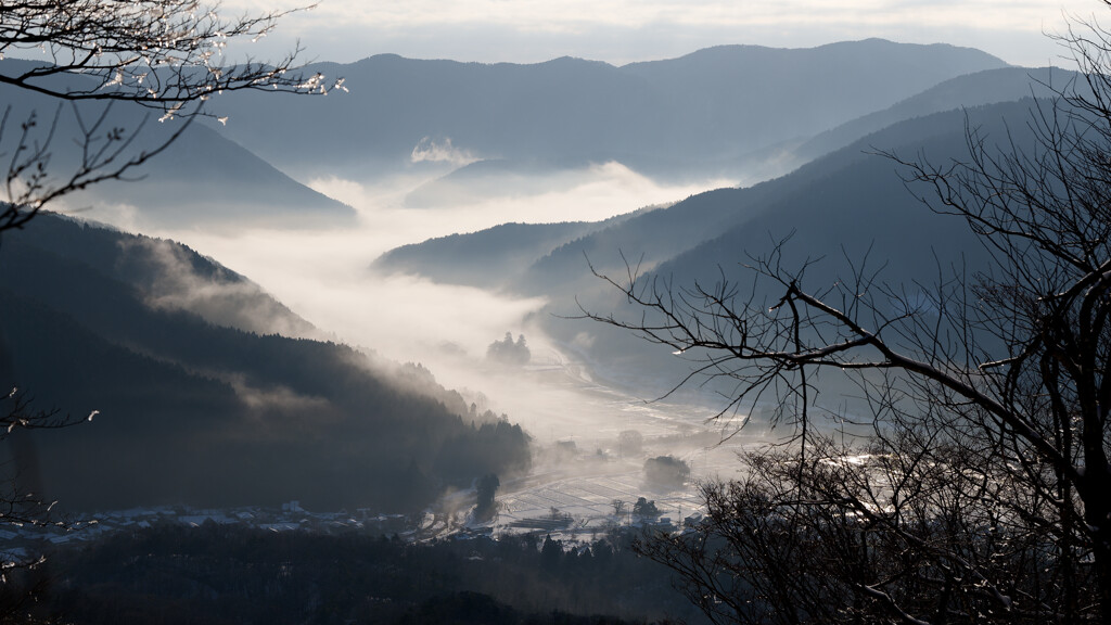 マキノの朝は霧が濃かった