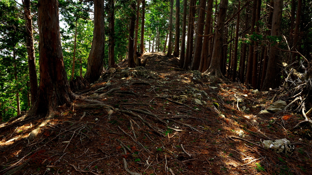 蛇崩山への尾根道