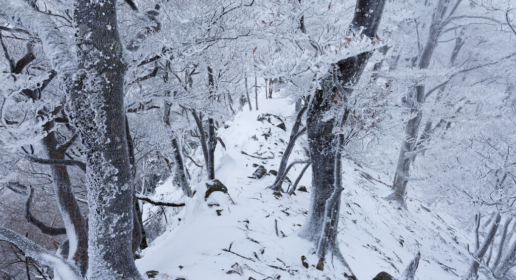 尾根歩きは白黒に近い世界だった