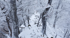 尾根歩きは白黒に近い世界だった