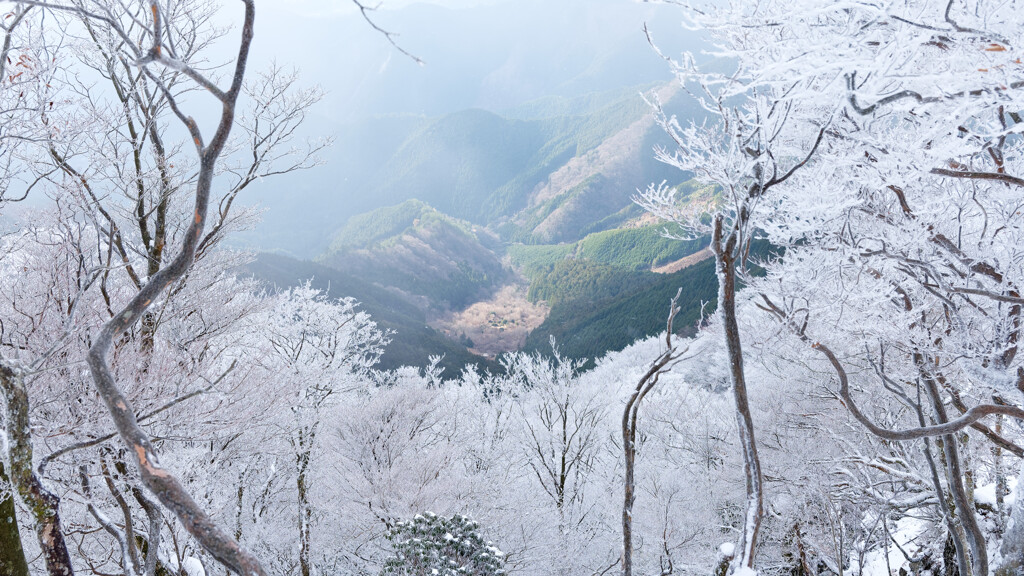 三峰山に戻る途中、南側の谷が見えた