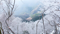 三峰山に戻る途中、南側の谷が見えた