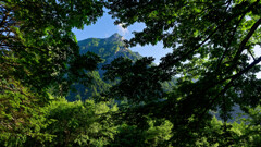 上高地を歩いた