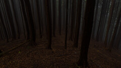 ハンシ山の下りで霧が暗い