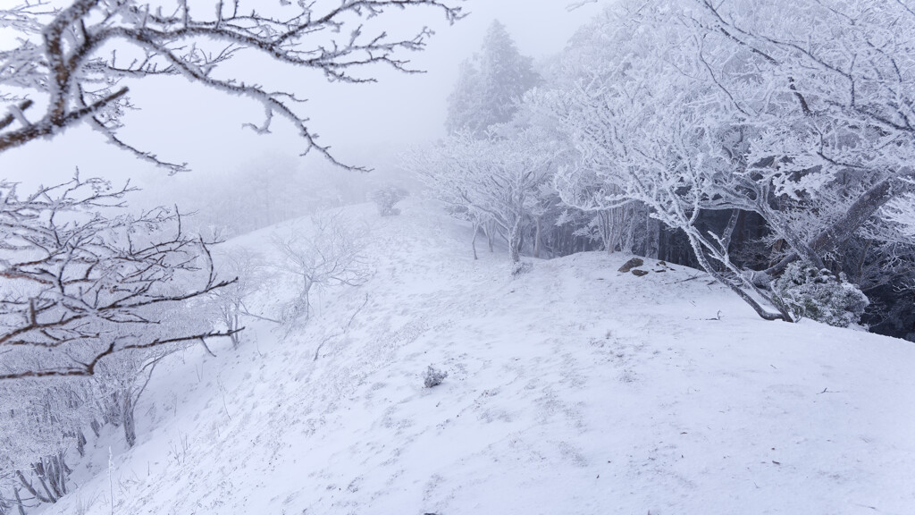 平倉峰へはノートレースだった