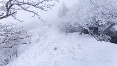 平倉峰へはノートレースだった