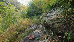 今年イチこわかった鎖場