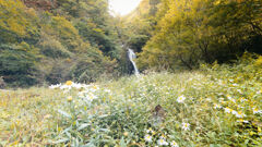 三蛇ヶ滝で休憩