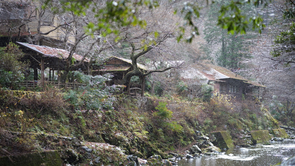 清滝川では雨が降っていた