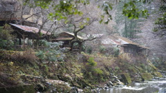清滝川では雨が降っていた