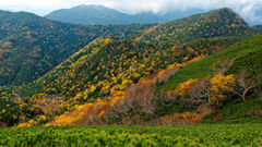 本谷山の紅葉