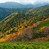 本谷山の紅葉
