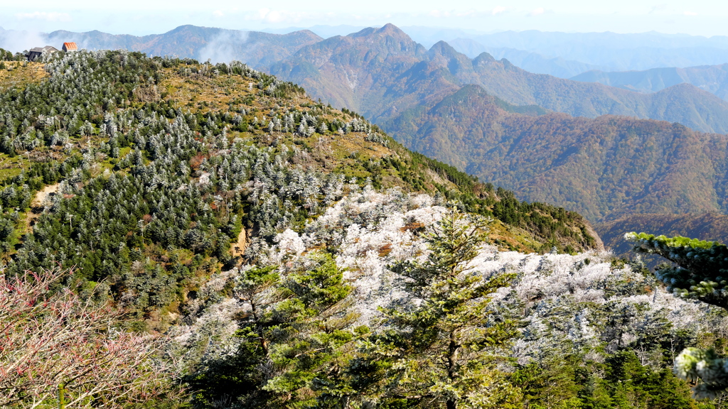 霧氷の付いた弥山と大普賢岳