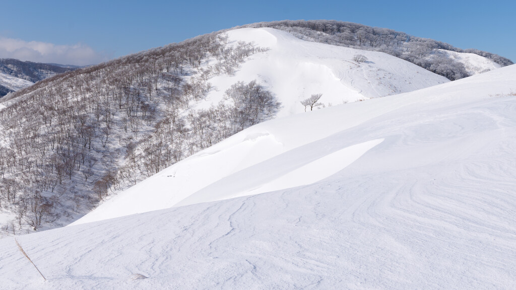 大塚山はやわらかな新雪に覆われていた