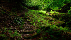 京都 金毘羅山の石段