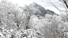 霧氷と鎌ヶ岳