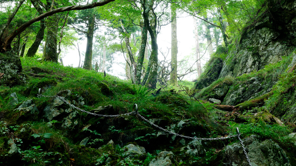もうすぐ日本岳のコル