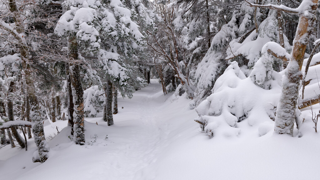 高崎横手への静かな道