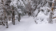 高崎横手への静かな道