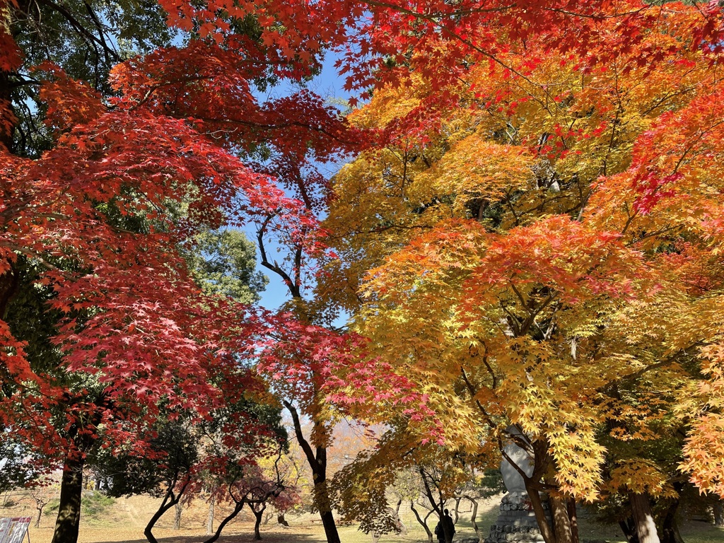 上田城跡公園の紅葉の様子4