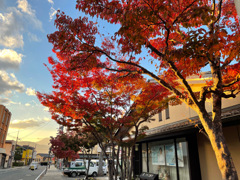 長野 小布施周辺 紅葉の様子7