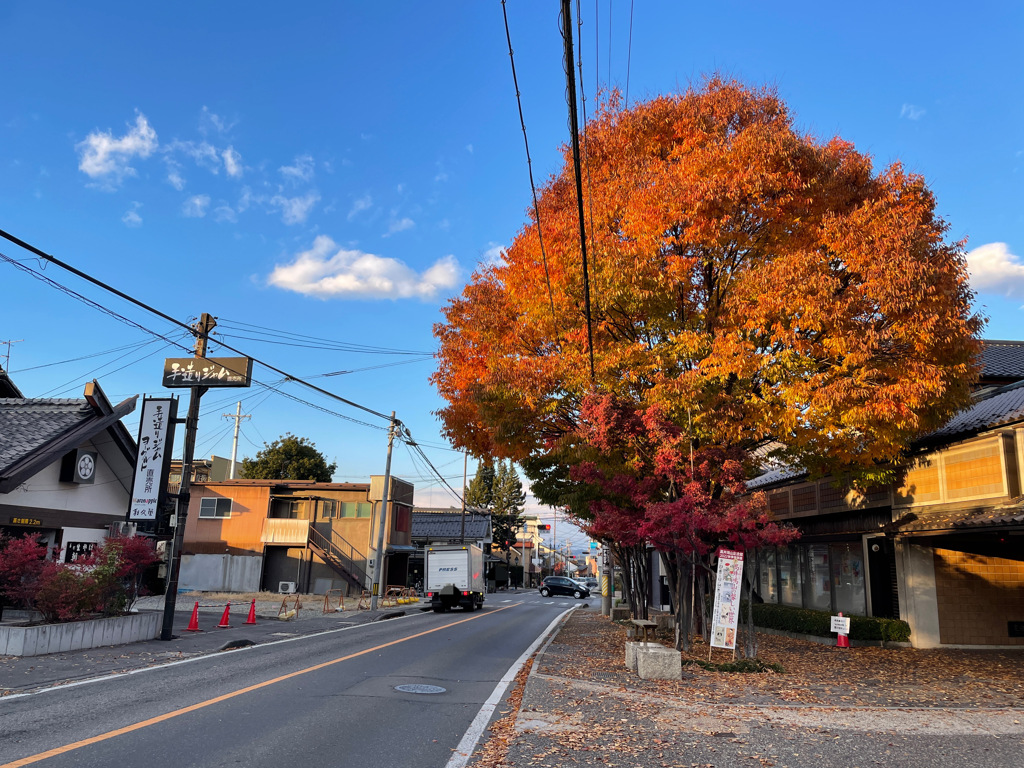 長野　小布施周辺 紅葉の様子6