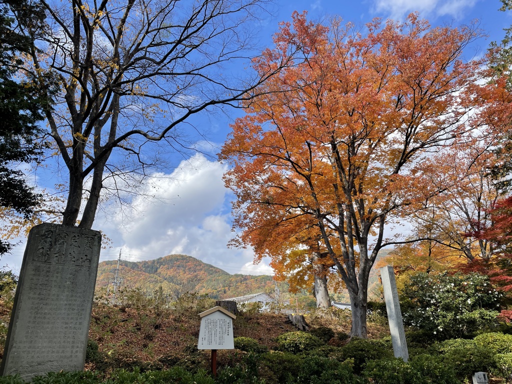 2022年11月撮影 善光寺寺内紅葉の様子2