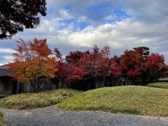 長野 小布施周辺 紅葉の様子1